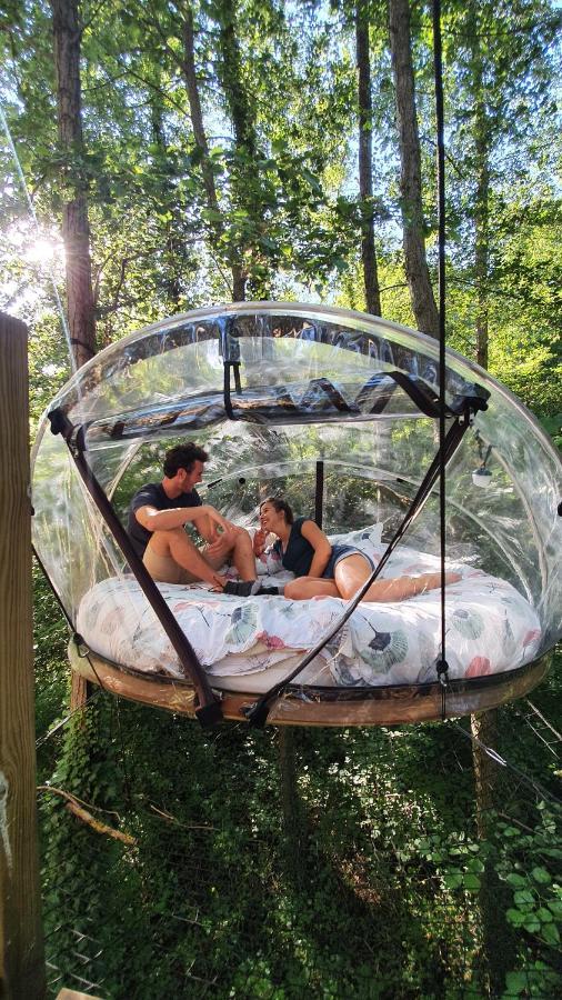 Les Bulles De La Maison Du Rocher Noisy-sur-Ecole Ngoại thất bức ảnh